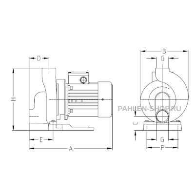 Насос P01FLO 0,75 кВт, Pahlen 11426
