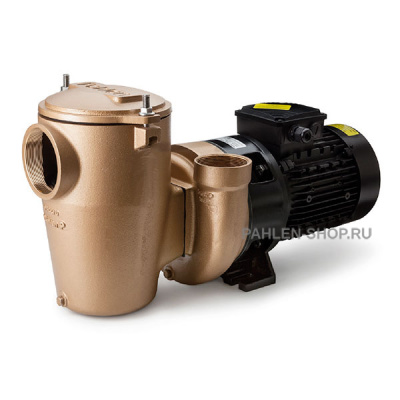 Бронзовый насос P2000 с префильтром 1,8 кВт, Pahlen 112201HZ