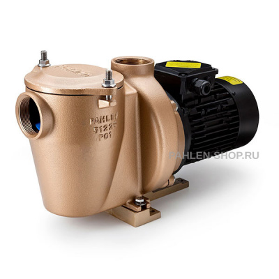 Бронзовый насос P01 0,43 кВт, Pahlen 120100HZ
