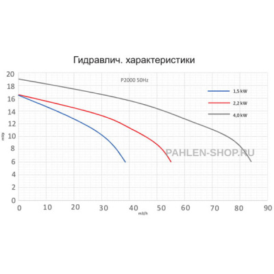 Бронзовый насос P2000 с префильтром 2,5 кВт, Pahlen 112211HZ